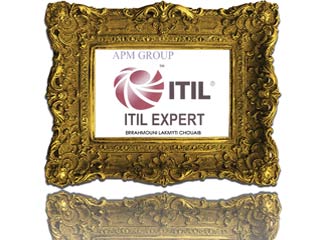 ITIL V3 Expert